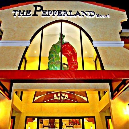 The Pepperland Hotel Легазпи Екстериор снимка
